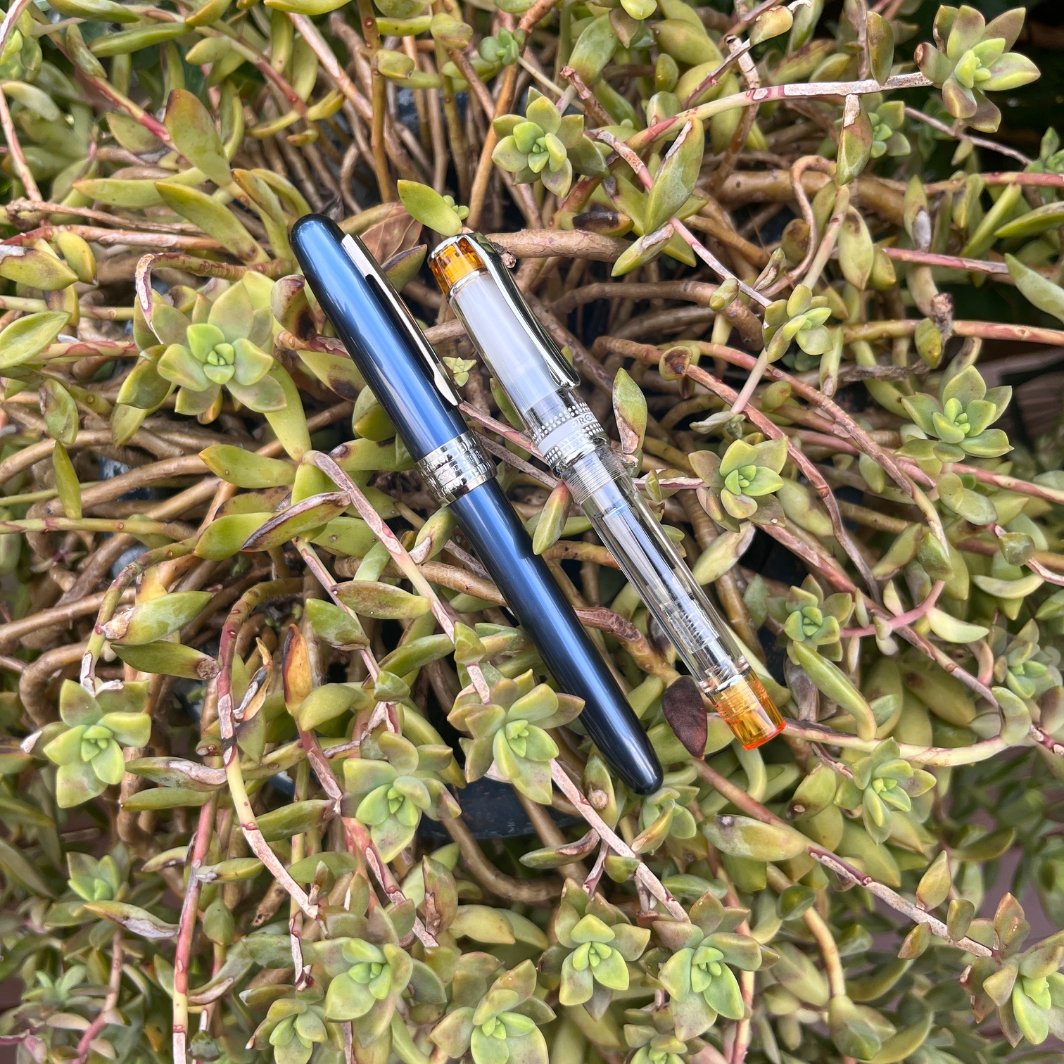 New Pens to the Collection